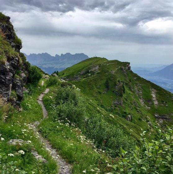 Alphotel & Bergrestaurant Sankt Martin