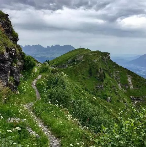 Alphotel & Bergrestaurant Sankt Martin