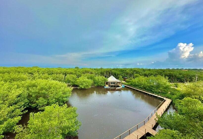 Apartamento Suite, Frente Al Mar