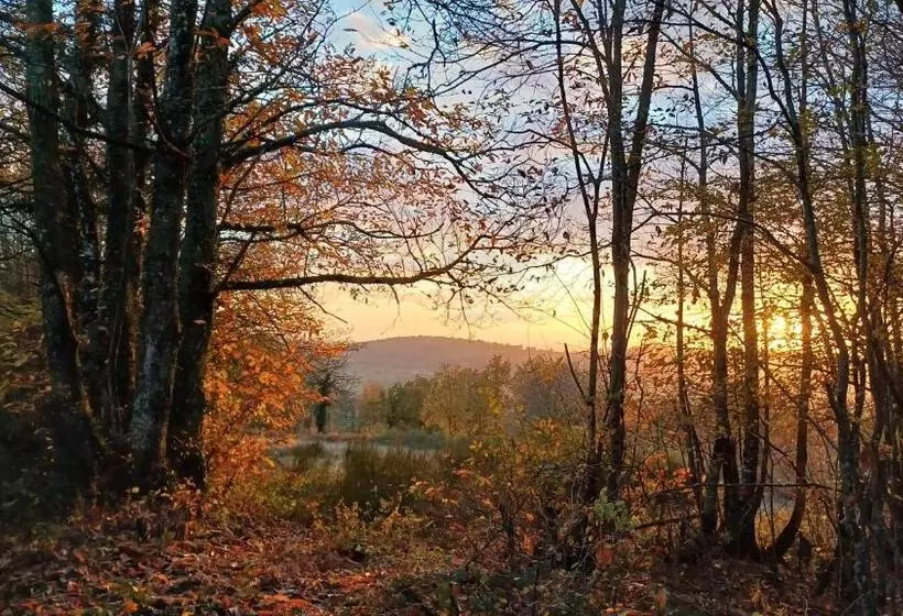 ベッドアンドブレックファースト Le Manivert