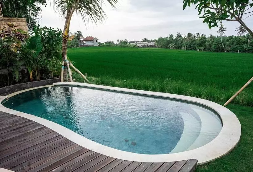 ホテル Shanti Boutique Retreat