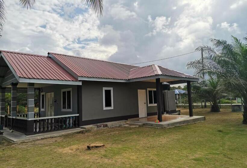 פנסיון D Landai Budget Room Twin