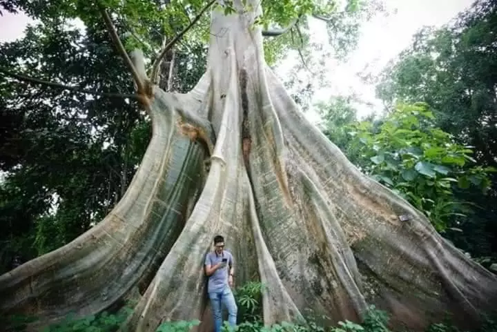 Majatalo Doi Sang Farm Stay   ดอยซางฟาร์มสเตย์