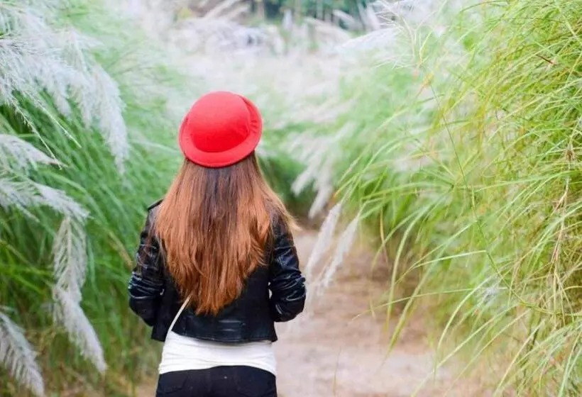 Majatalo Doi Sang Farm Stay   ดอยซางฟาร์มสเตย์