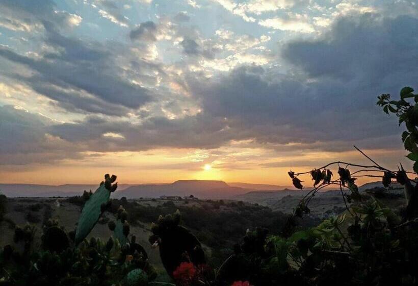 بنسيون Domus La Roccia