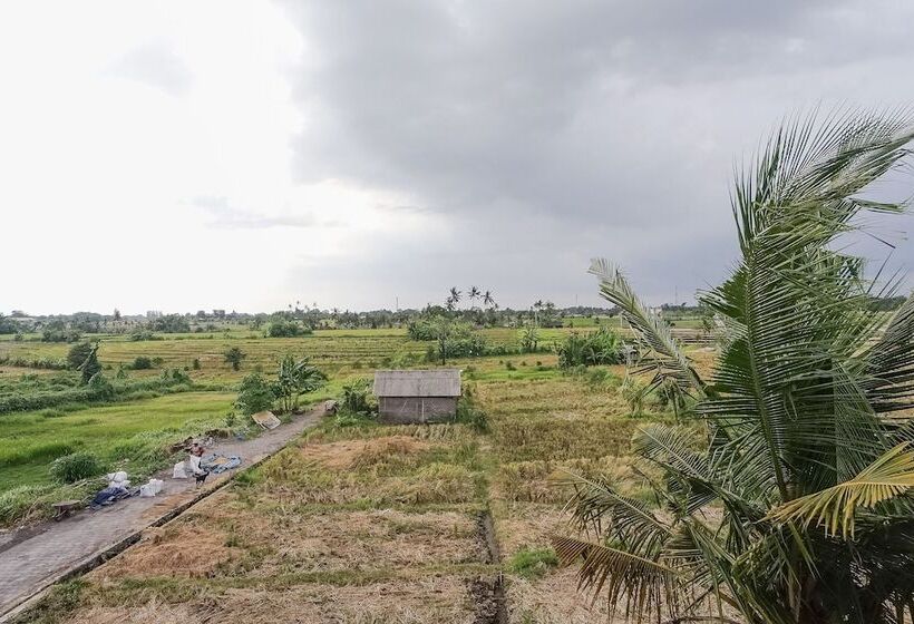 ペンション Kerti Suite