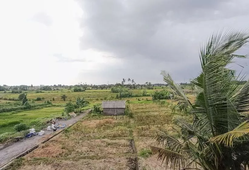 Majatalo Kerti Suite