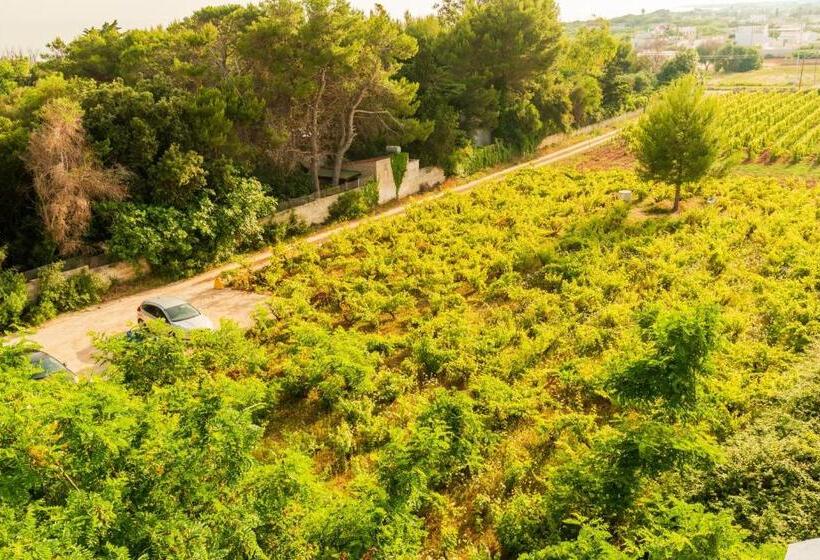 Chill Garden Experience B&b