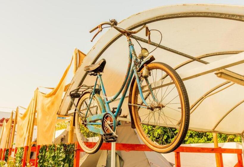 Chill Garden Experience B&b