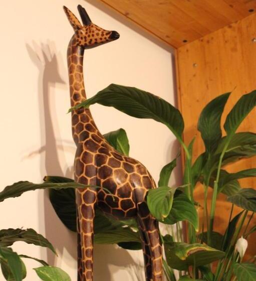 Chill Garden Experience B&b