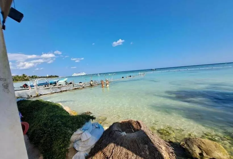 ホテル Hidden Jems Mahahual Hostel