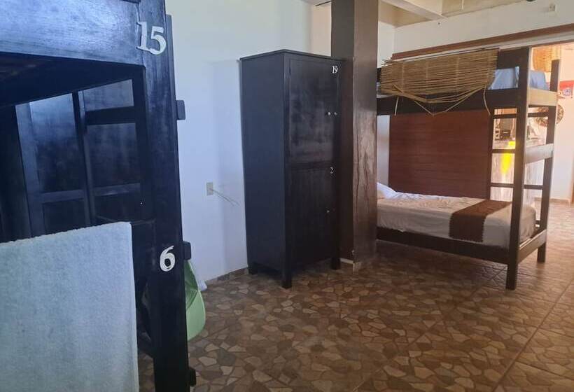 ホテル Hidden Jems Mahahual Hostel