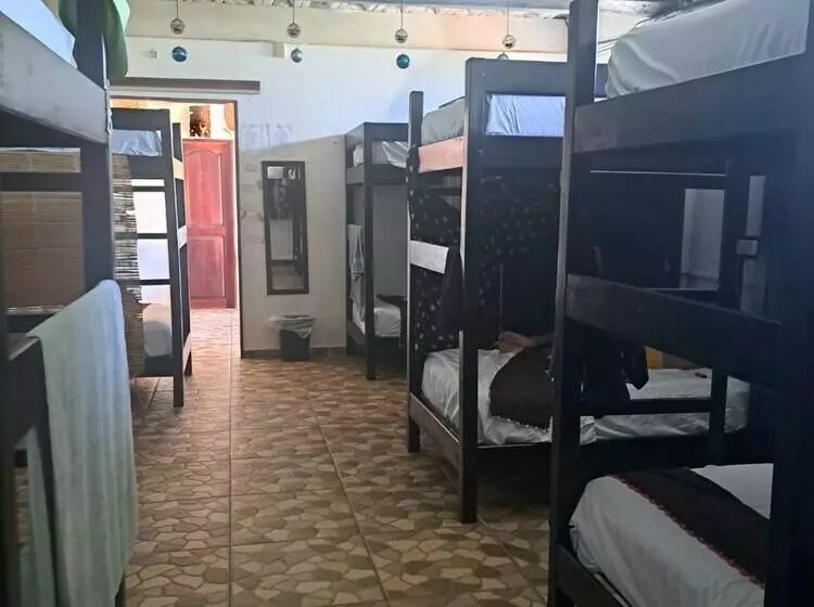 ホテル Hidden Jems Mahahual Hostel
