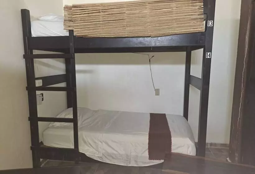ホテル Hidden Jems Mahahual Hostel