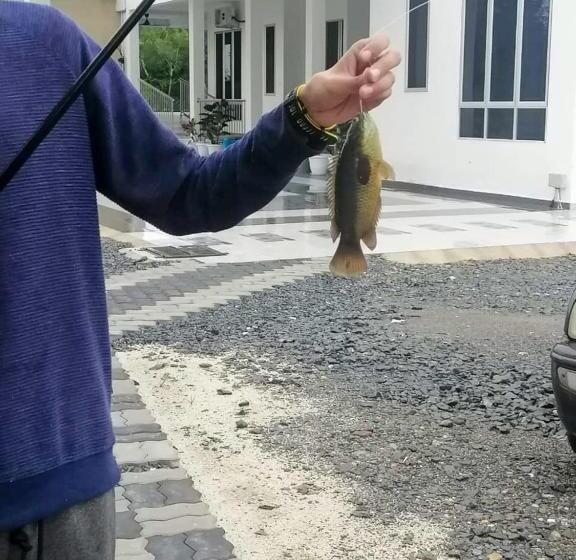 Otel Lembah Saerah Resort