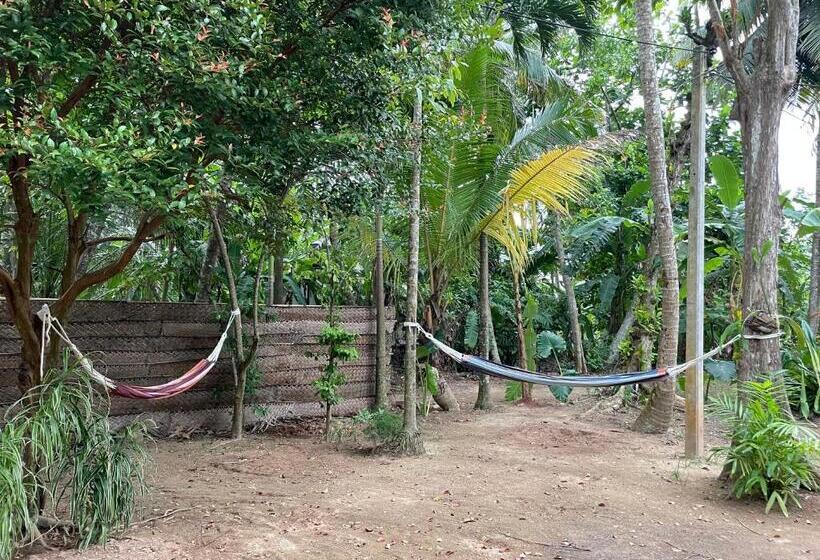 بنسيون Surfside Madiha