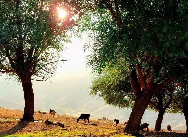 Retkeilymaja Le Fortin