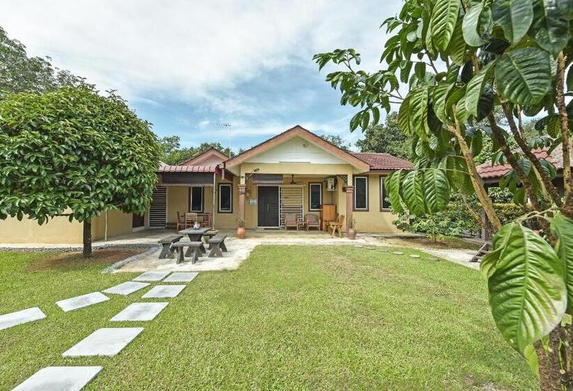 酒店 Oyo Home 90692 Tok Babah Village Homestay