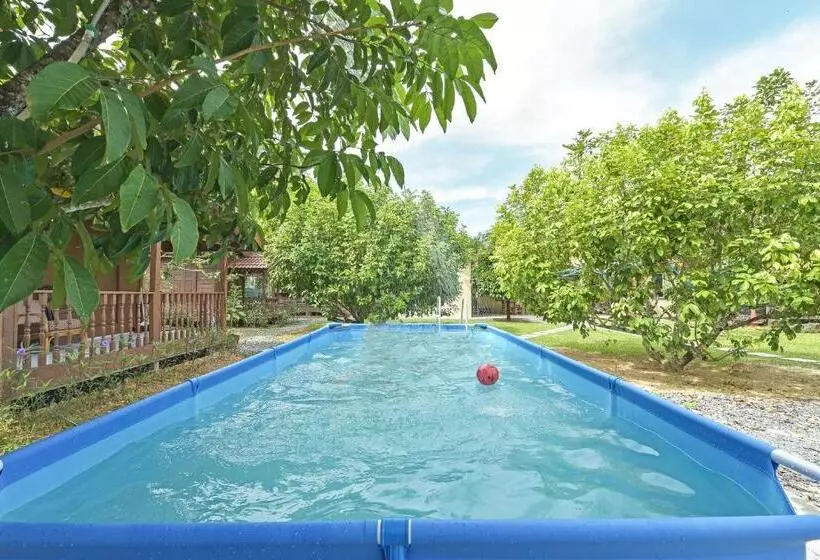 ホテル Oyo Home 90692 Tok Babah Village Homestay