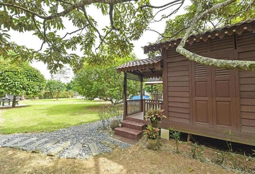 酒店 Oyo Home 90692 Tok Babah Village Homestay