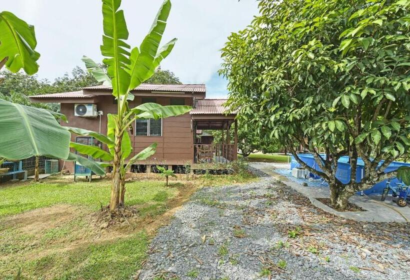 酒店 Oyo Home 90692 Tok Babah Village Homestay