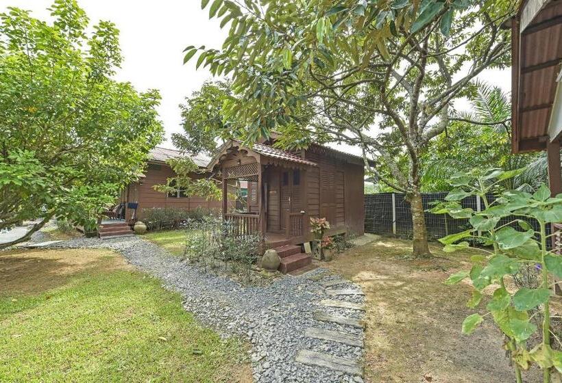 酒店 Oyo Home 90692 Tok Babah Village Homestay