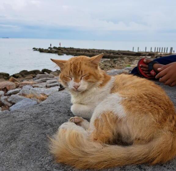 Пансион Woodsbury Suites Ikea House Butterworth Penang