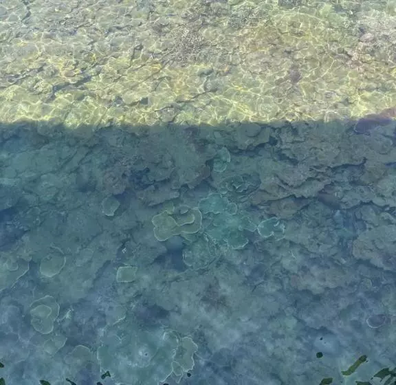 استراحتگاه Mukut Coral Chalet