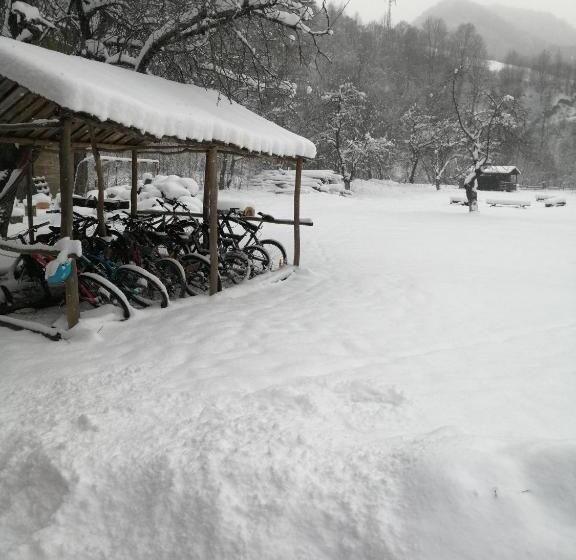 旅馆 Complex Turistic Nora Rau Sadului