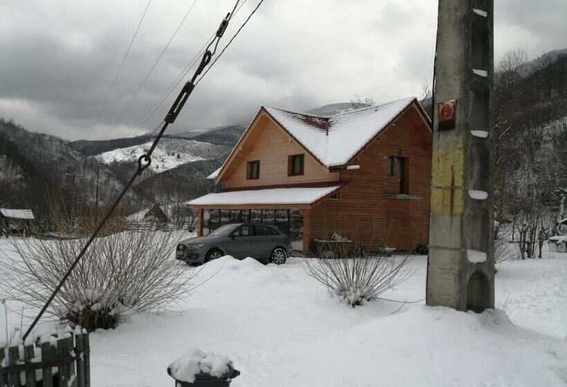 旅馆 Complex Turistic Nora Rau Sadului