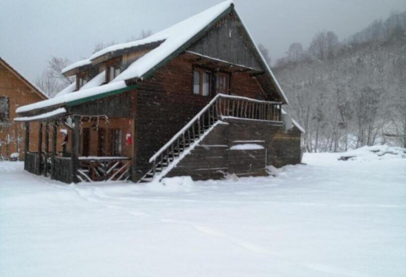 旅馆 Complex Turistic Nora Rau Sadului