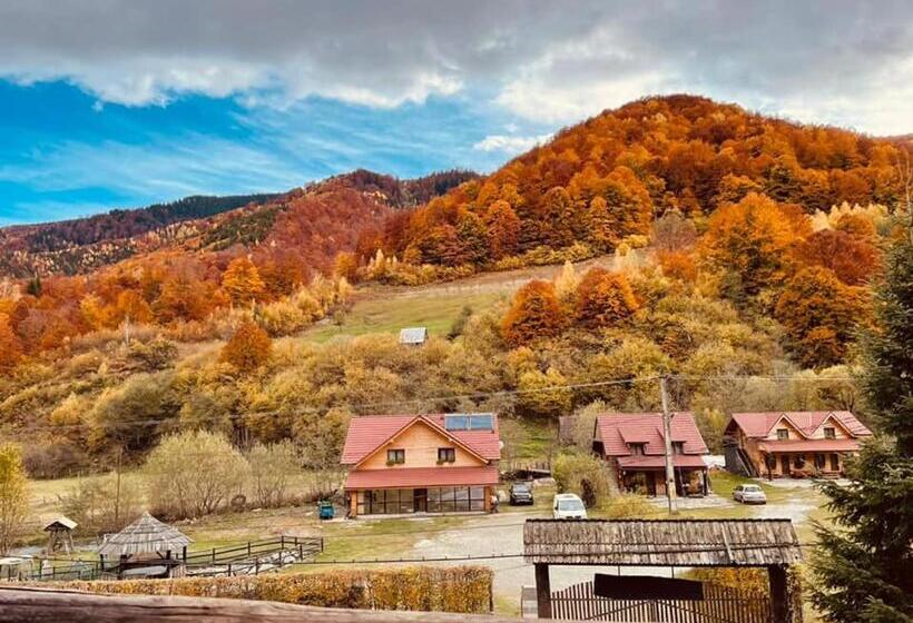 旅馆 Complex Turistic Nora Rau Sadului