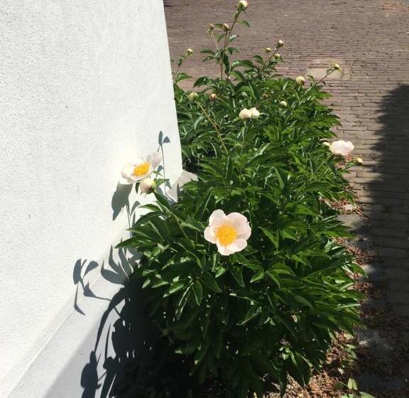 B&b Villa Kriekenbeek