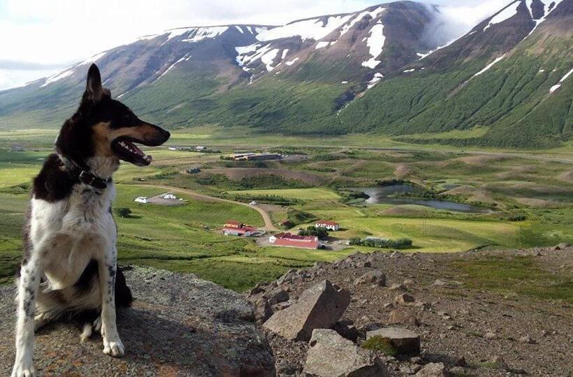 تختخواب و صبحانه Hótel Tjarnir