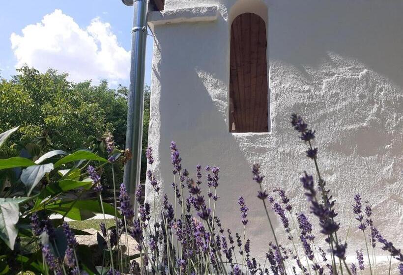 호텔 Letűnt Idők Vendégház