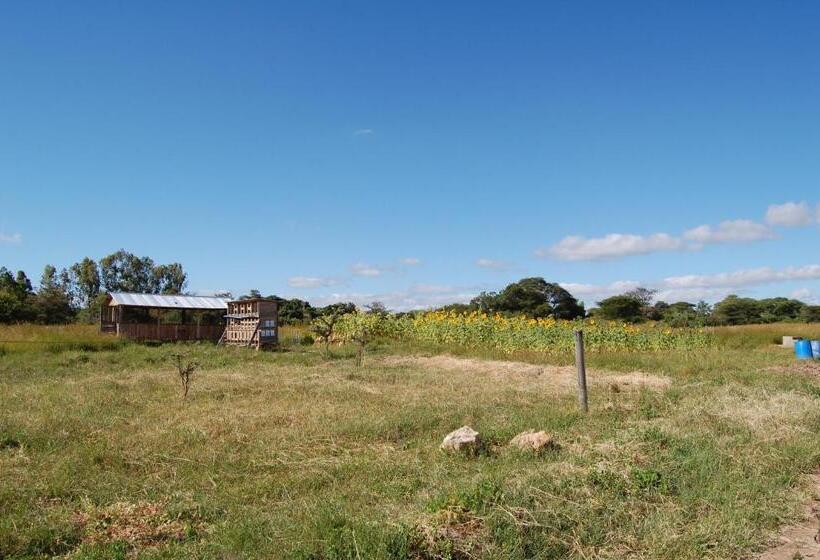 ホテル Mark S Farm & Ecolodge