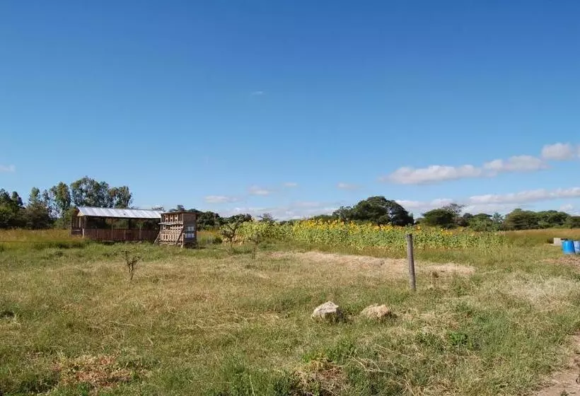 ホテル Mark S Farm & Ecolodge