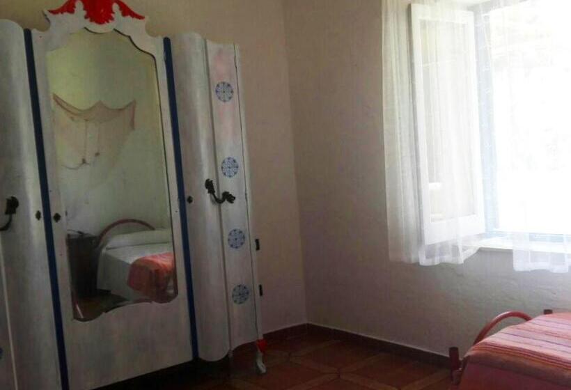 膳宿费 Belvedere Tramontana