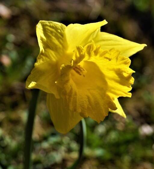 펜션 Ferienhaus Waldwinkl