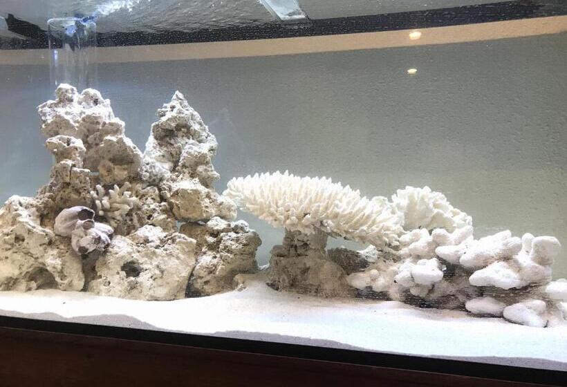 Курорт Oceanfront Yahan