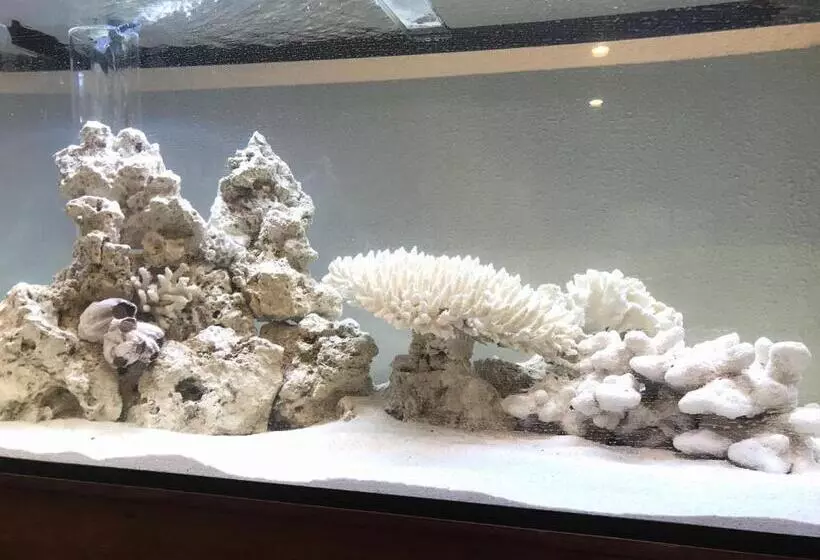 リゾートホテル Oceanfront Yahan