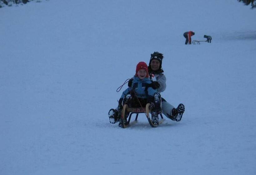 Общежитие Gasthaus Alpenrose