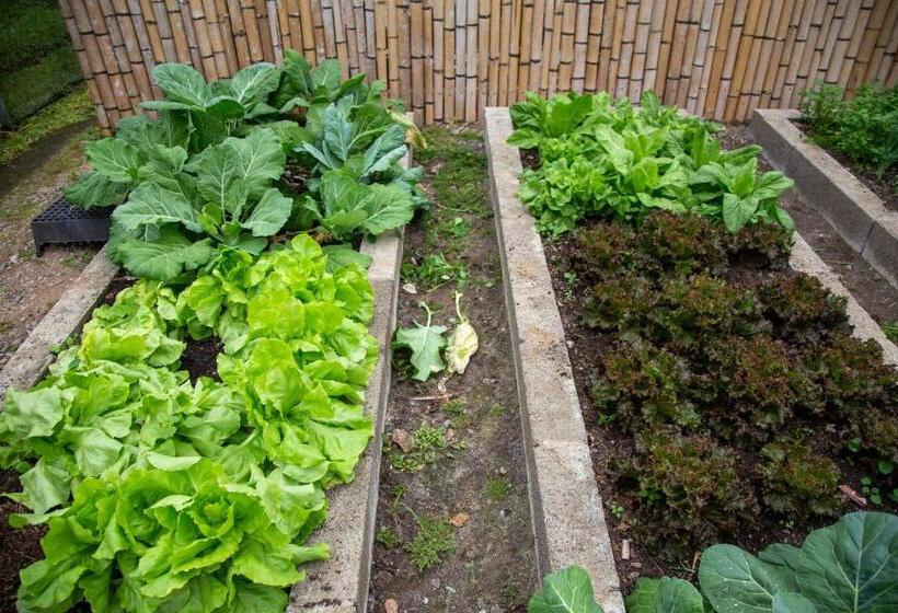 Hostel Pousada Vilarejo Do Quim