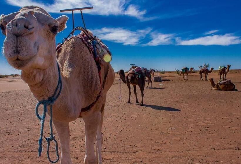 Authentic Riad & Activities Erg