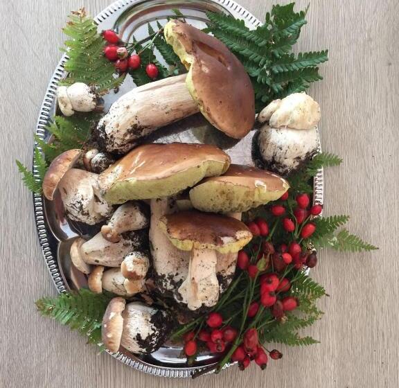 فندق Spazio Gran Paradiso Guest House