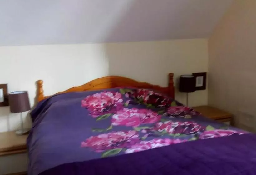 پانسیون Chesterfields Guest House