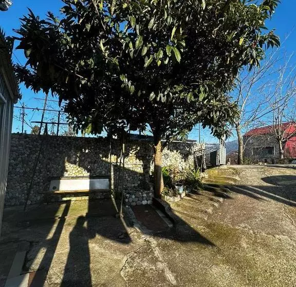 پانسیون Guest House Maia