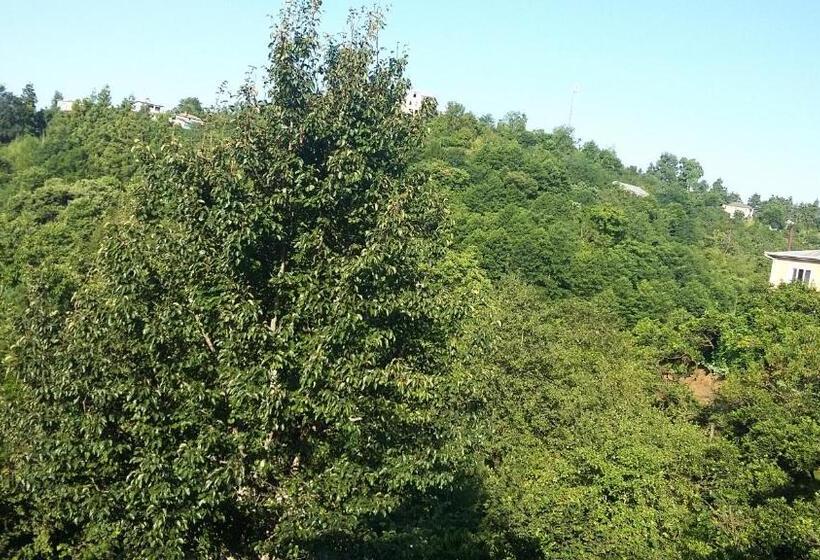 پانسیون Guest House Maia