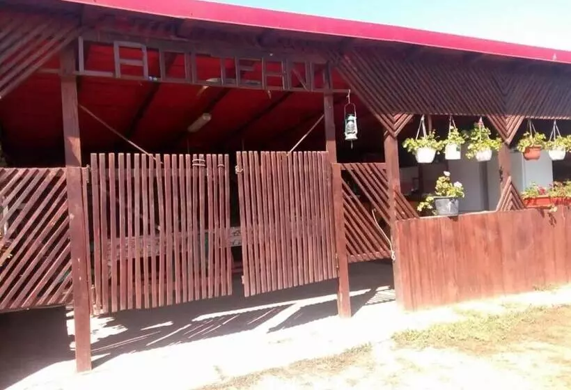 Pension La Olteanu