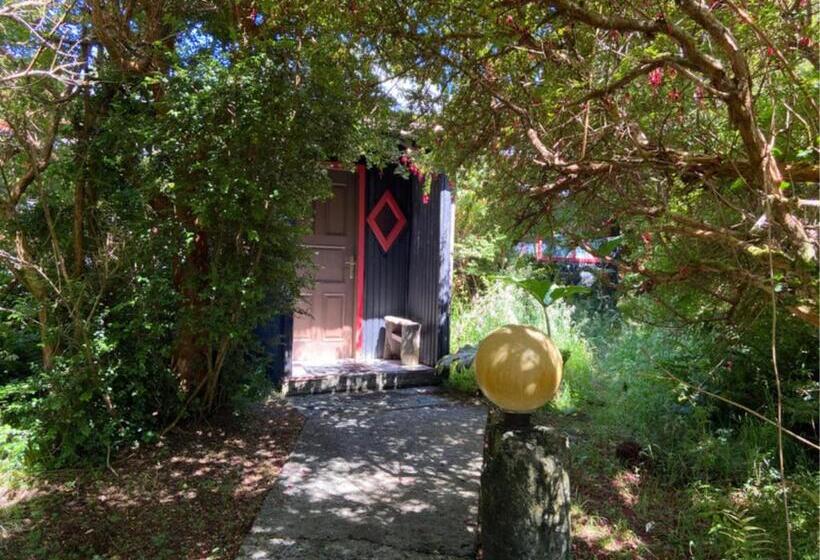 Panzió Parador Darwin